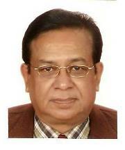 Anil