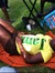Carib Q...