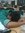 Amrit
