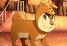 Zane