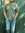 Abhishek