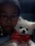 Danfan