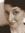 Kathrine
