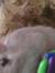 Kirsty