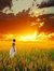 Shweta