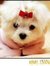 Amna