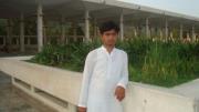 Raheel