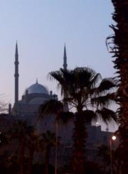 Noha