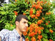 Ali