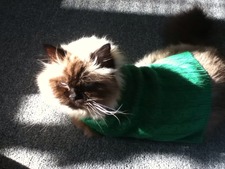 Jackie