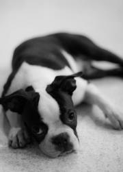 Madelene