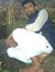 Aslam