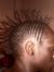 Bwang