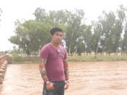 Ammar