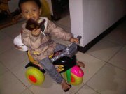 Anas