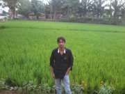 Harsha
