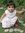 Saira