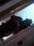 Emy