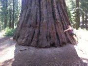 Taylor Ewing johnstone