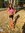 Libby Gast