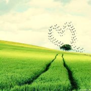 د.رباب الكيلانى