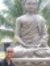 Rahul S...