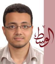 Mohamed Wafa
