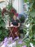 Linda Ledford-miller