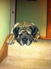 Cathy Krueger-reichen