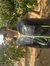 Khethiwe Munyimanzi