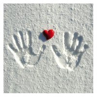 منيره محمود