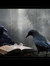 Karasu