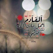 محمود حسن