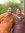 Sandeep