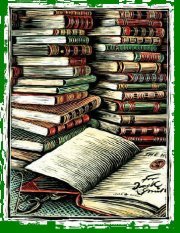 Catherine Steininger