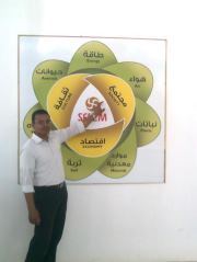 السيد الشاذلى