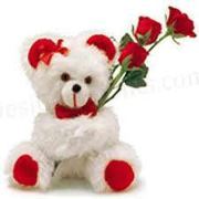 Karuppiah Anitha devi