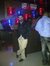 Niraj C...