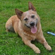 Linda Hedman jaquish