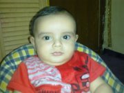 محمود الشيخ