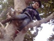 Harshvardhan