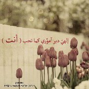 Somaya Abd elmohsen