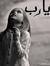 Shimaa ...