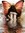 Mary Marchese | 2 comments