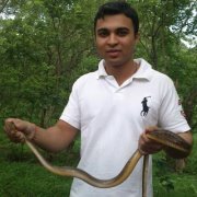 Er Ashish