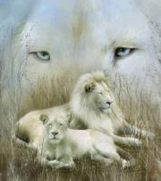 Isabelle Trejo-basurto