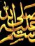 Ahmed Zaki