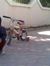 Rafy Majod