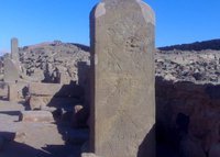 السيد البدوى