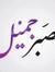 Ahmed H...